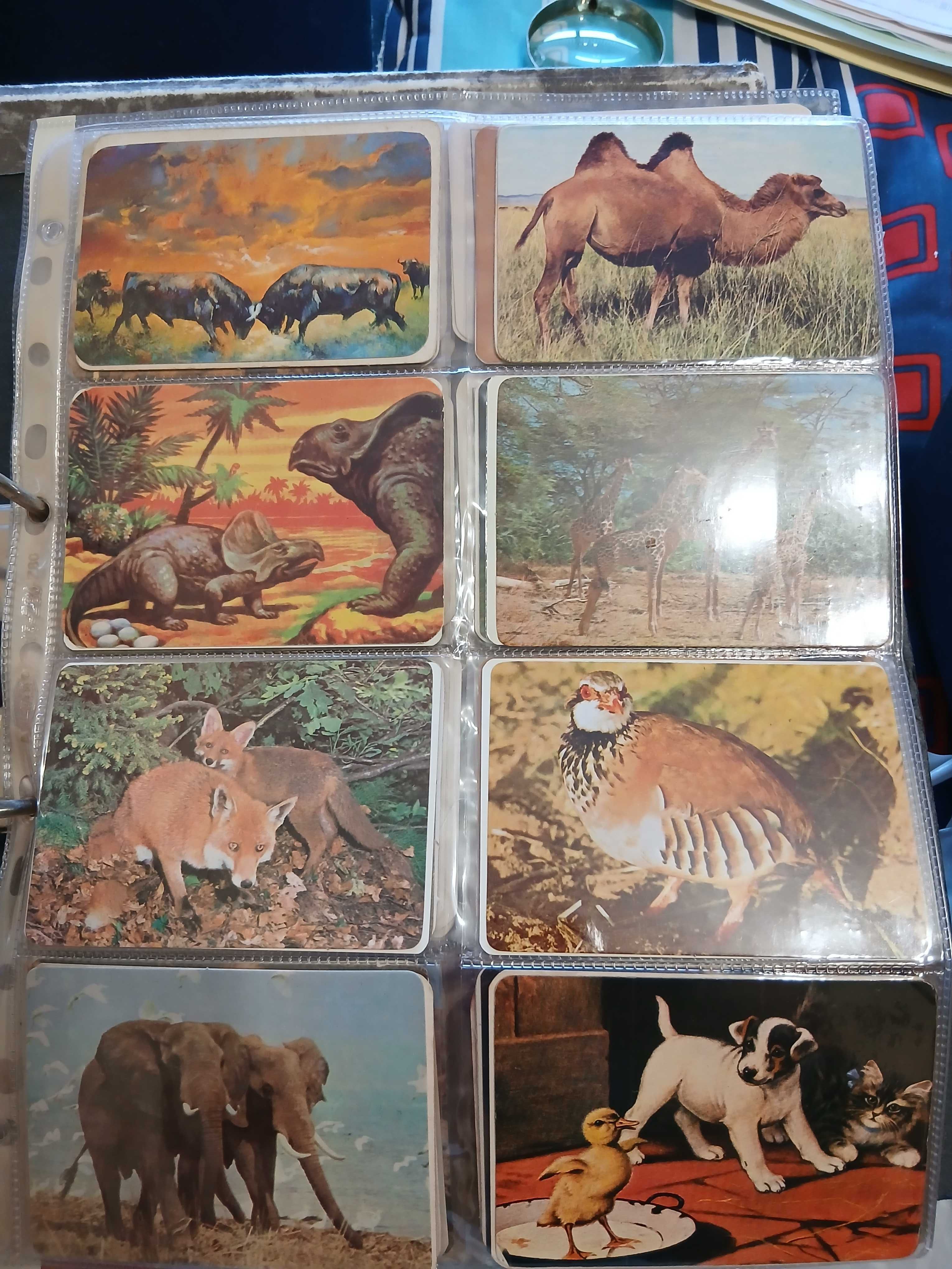 Colecção de Calendários Antigos