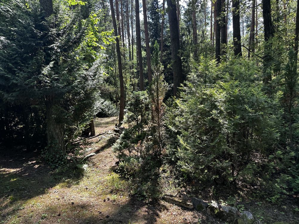 Zofiwka , dzialka budowlano rekreacyjna 1279 m2