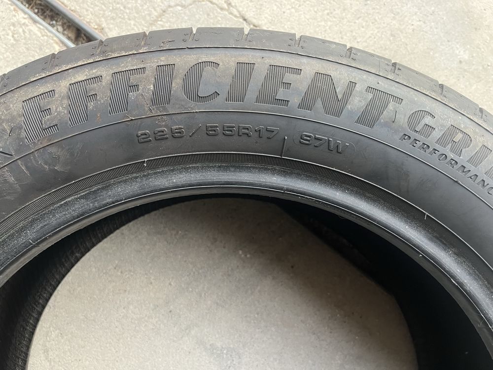 Pneus Efficient Grip Performance 225/55R17