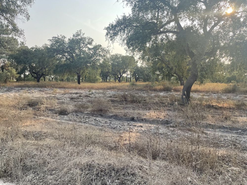 Quinta com 60000m2