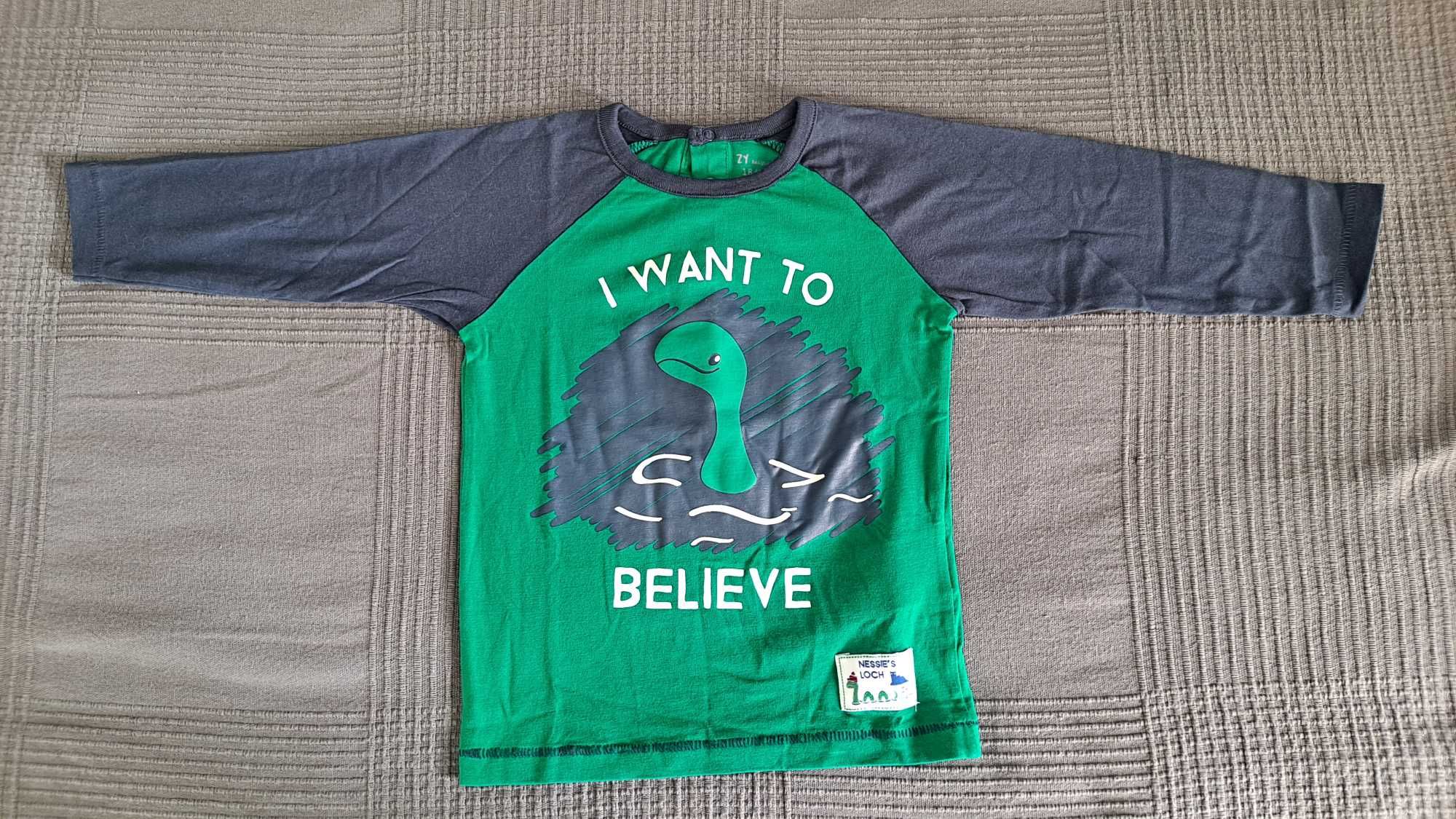 Sweat Shirt Verde e Azul "I Want to Believe"