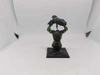 Troll Orcs&Goblins Warhammer FB