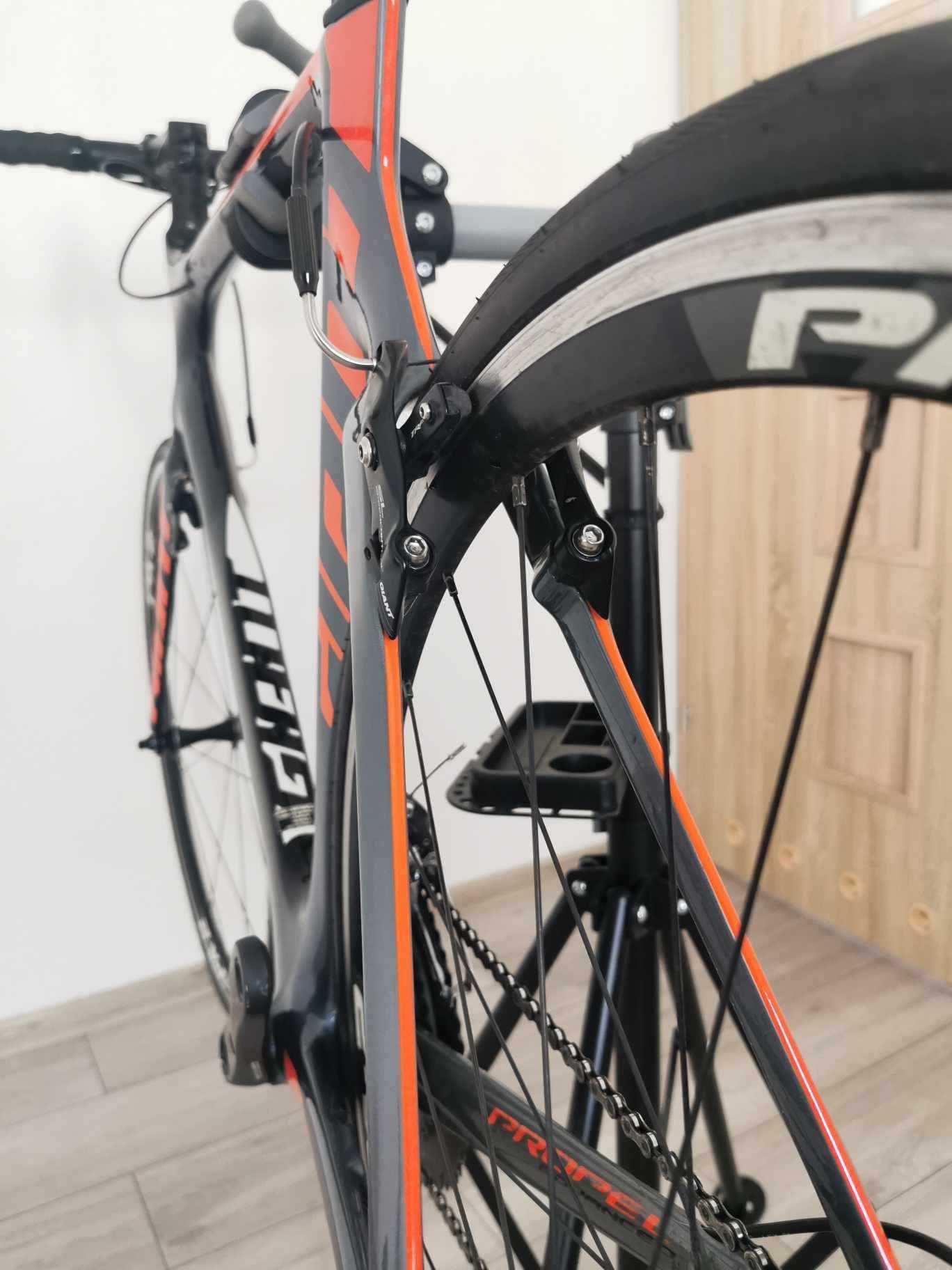 Giant Propel Advanced 1