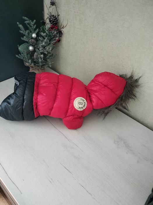 Новый зимний пуховик для собак