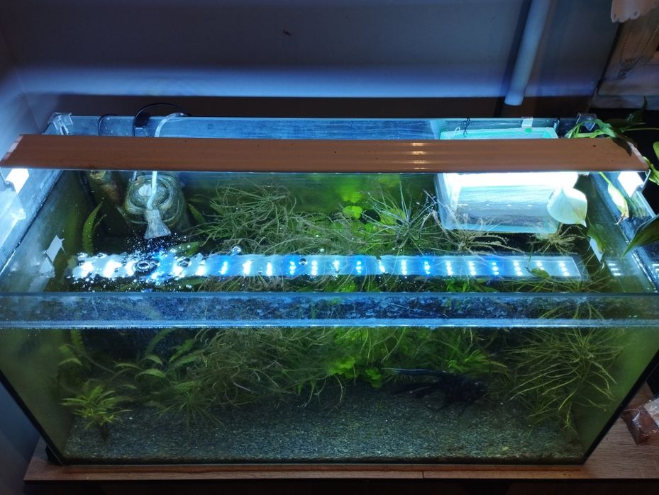 Akwarium 112l z wyposażeniem