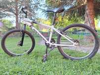 Rower Rockrider 20"