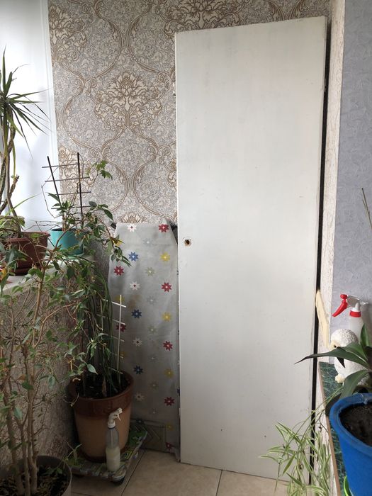 Двері глухі 60см важкі ще тих часів