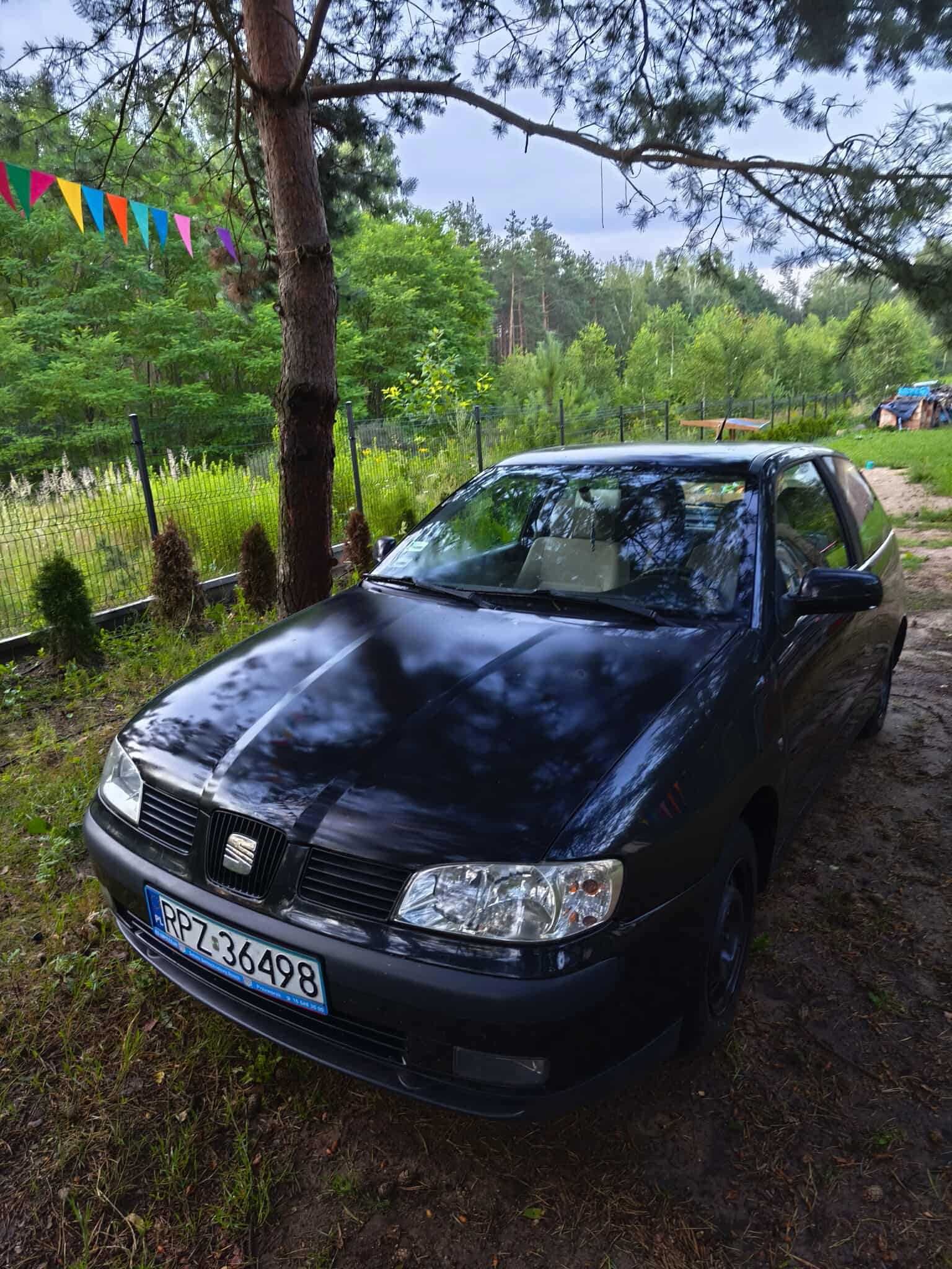 Seat Ibiza benzyna