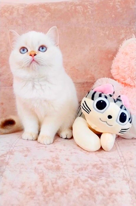 Дівчинка квіточка, неймовірно лагідна і ніжна