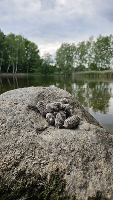 Mini PVA ready MeshBaits - różne smaki