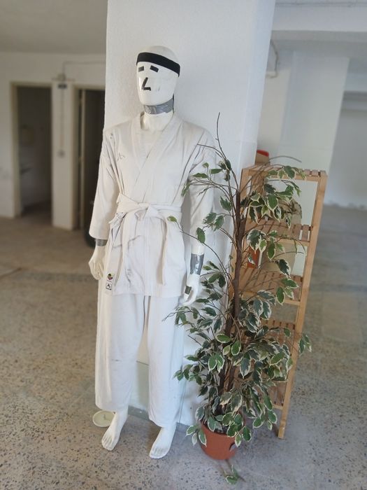 Cortinados, estantes, cadeira romama, sofá,  piso emborrachado, planta