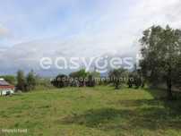 Terreno urbano com 2680m2 junto a cidade - Totalmente plano