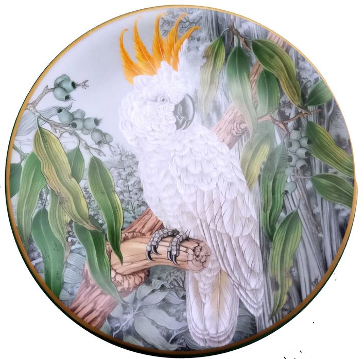 Jóias Vivas da Floresta Tropical - - - - - Pratos