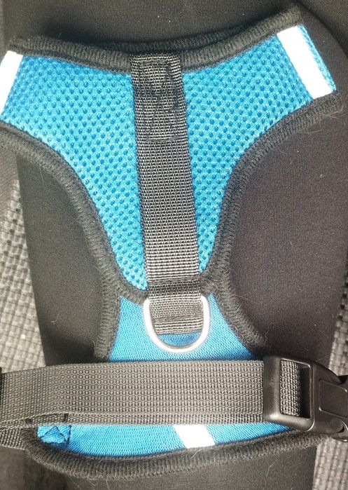 Arnês com trela gato