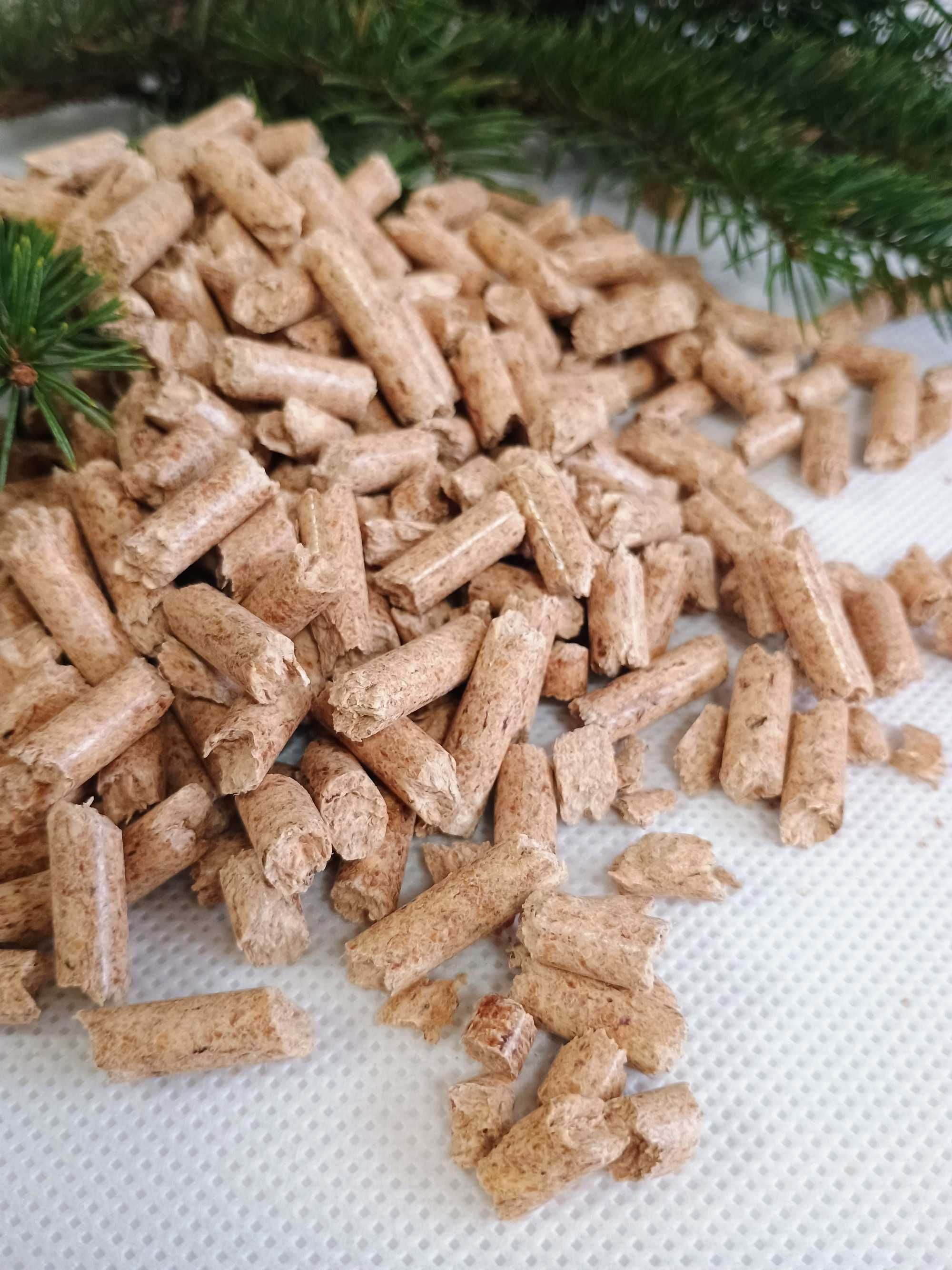 Pellet sosnowy pellet Tatry 100% sosnowy klasa A1 producent olczyk