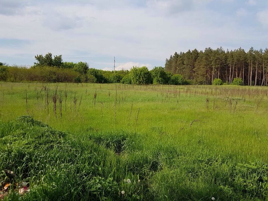 Срочная продажа земли!!!