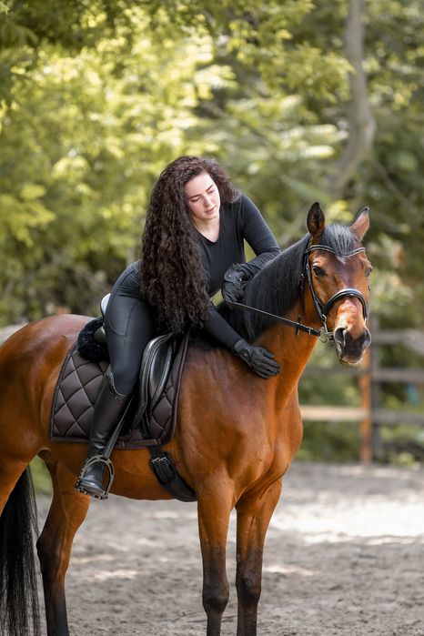 Аренда лошади для фотосессий Днепр