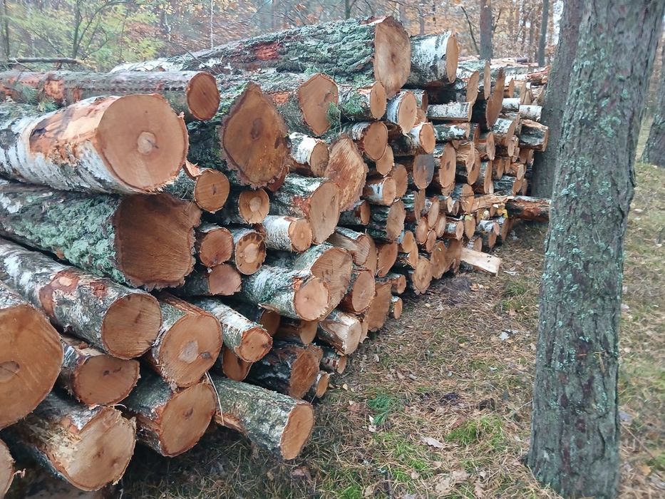 Drewno drzewo opałowe sosna, dąb, brzoza, olcha ,kominkowe