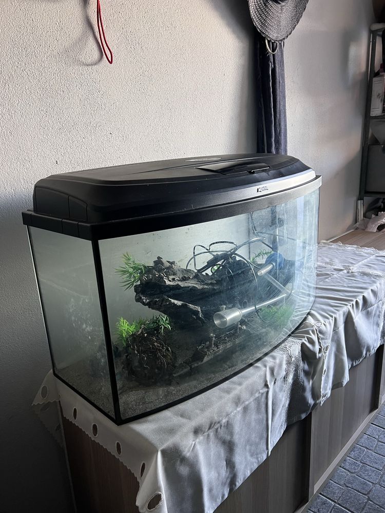 Aquario Aquael 80cm