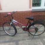 Rower damski Magnum