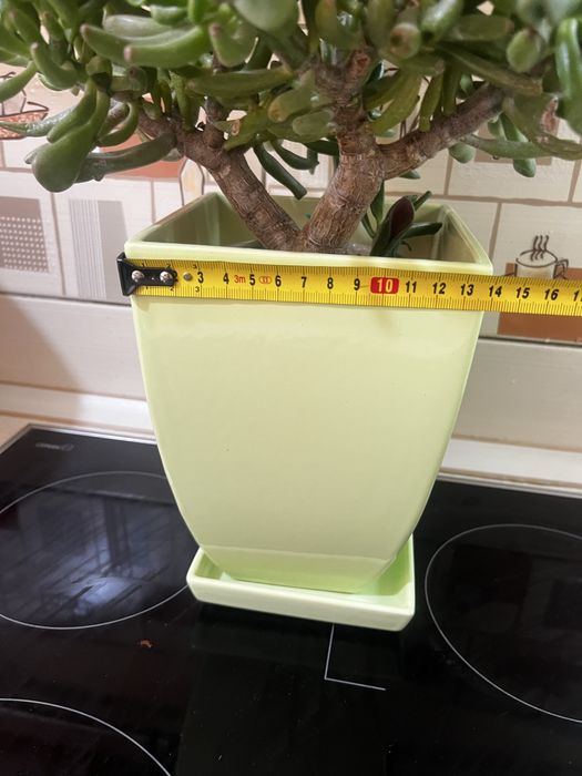 Горщик для квітів вазон