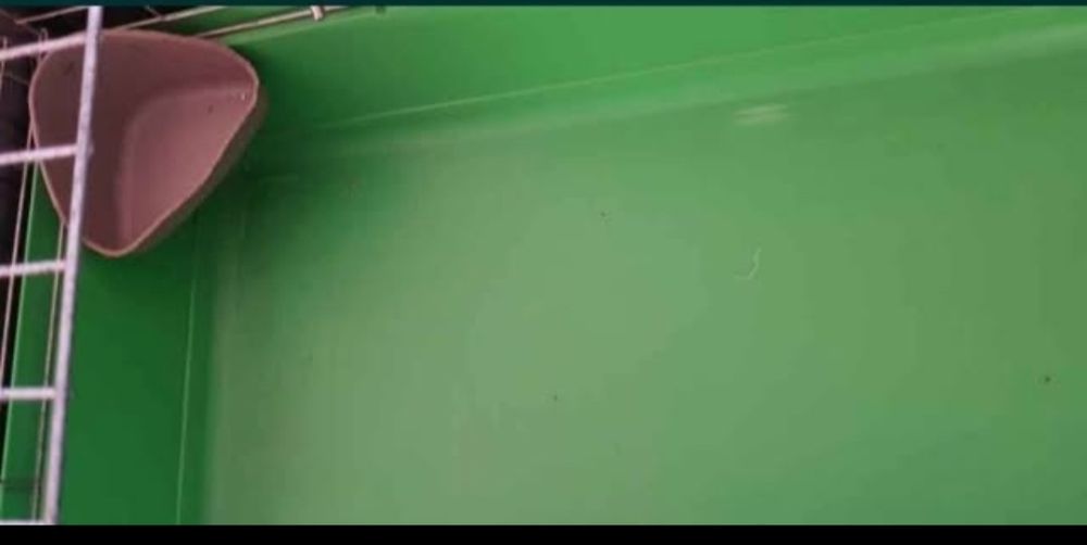 Duża klatka dla królika, świnki morskiej