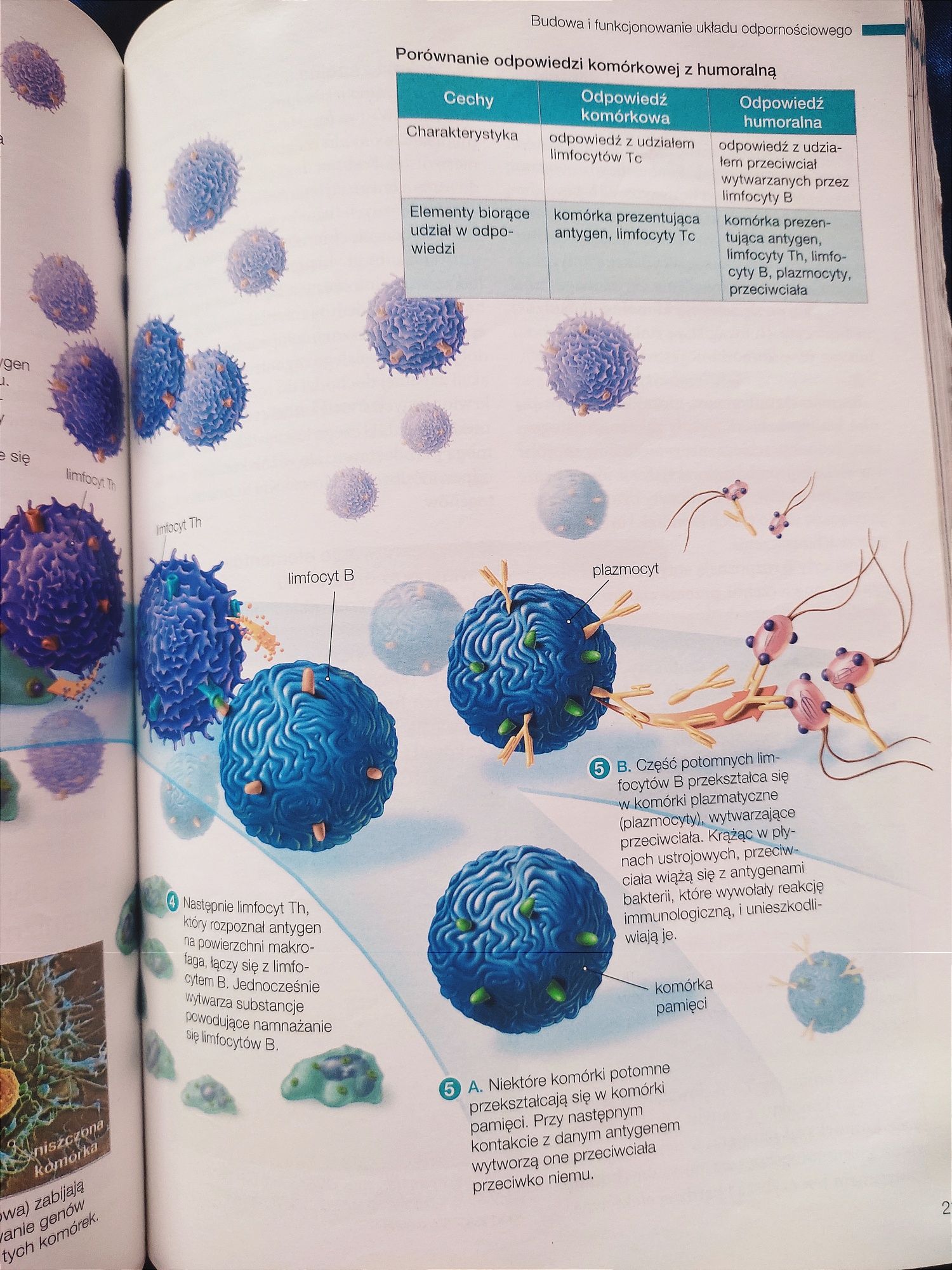 Biologia na czasie 2. Zakres rozszerzony. Podr. z DOSTĘPEM DO E-TESTÓW