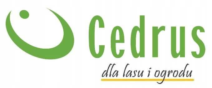 OLEJ HYDRAULICZNY CEDRUS HV46 5L - Wydajność dla Łupark i Systemów