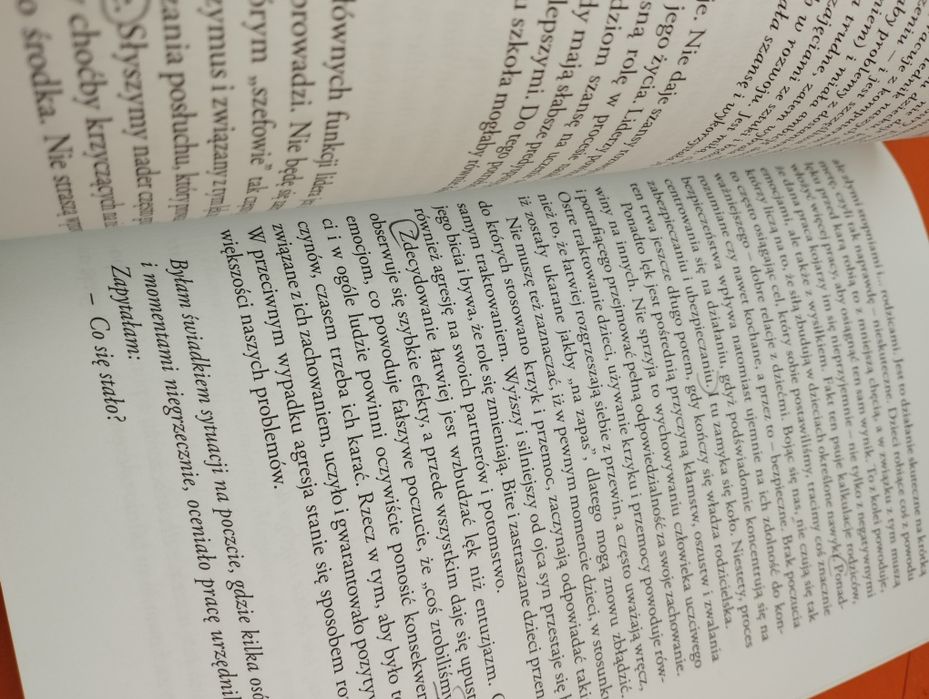 Wychowanie do szczęścia - Iwona Majewska-Opiełka