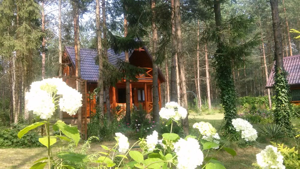 Domek letniskowy nad Siemianówką -Nowa Łuka