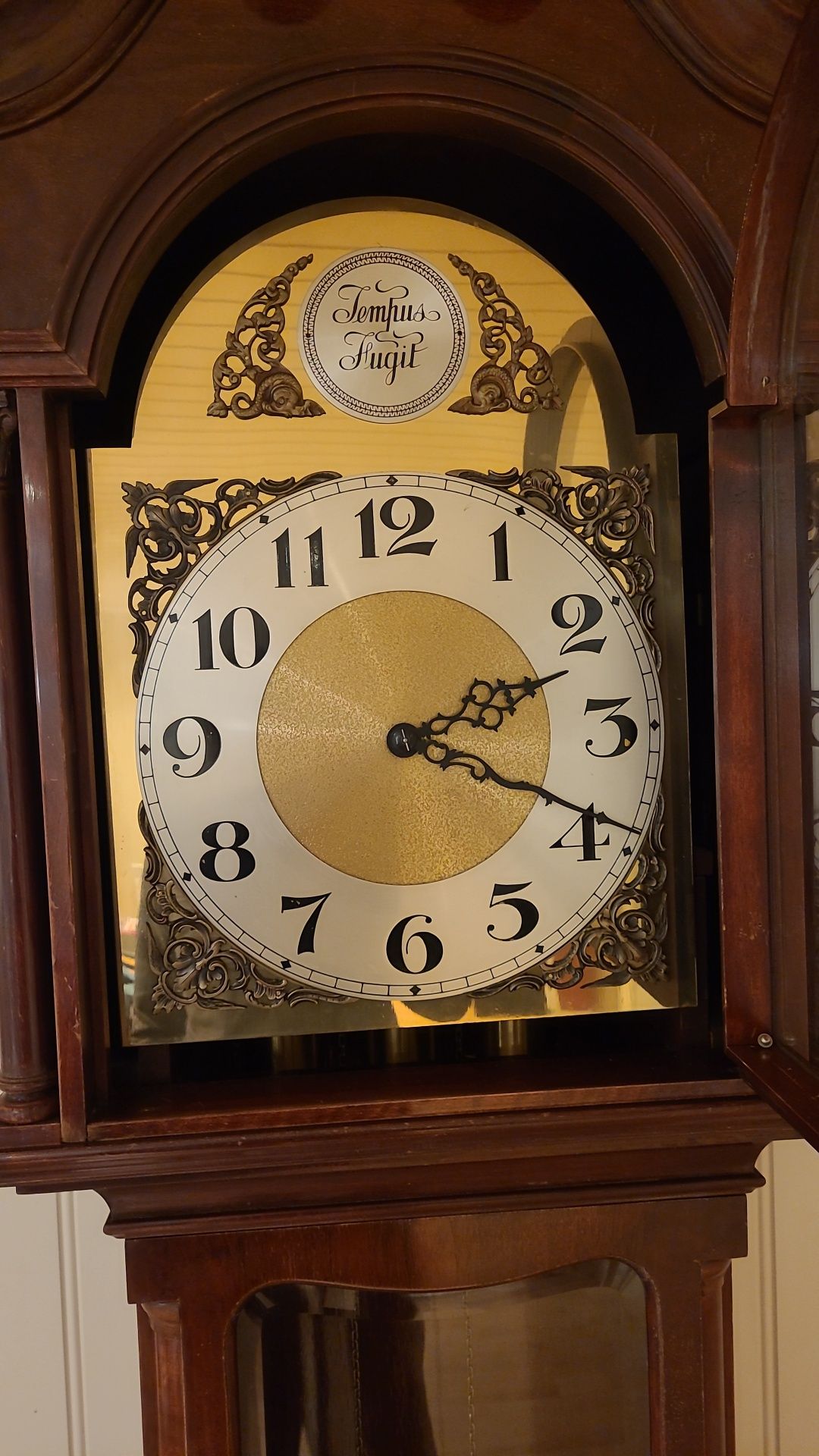Zegar stojący Tempus Fugit