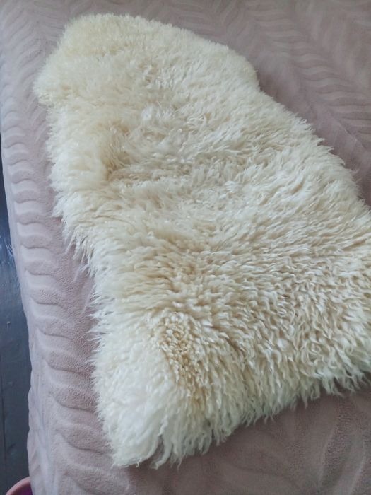 Овеча шкіра натуральна хутро овече вовна