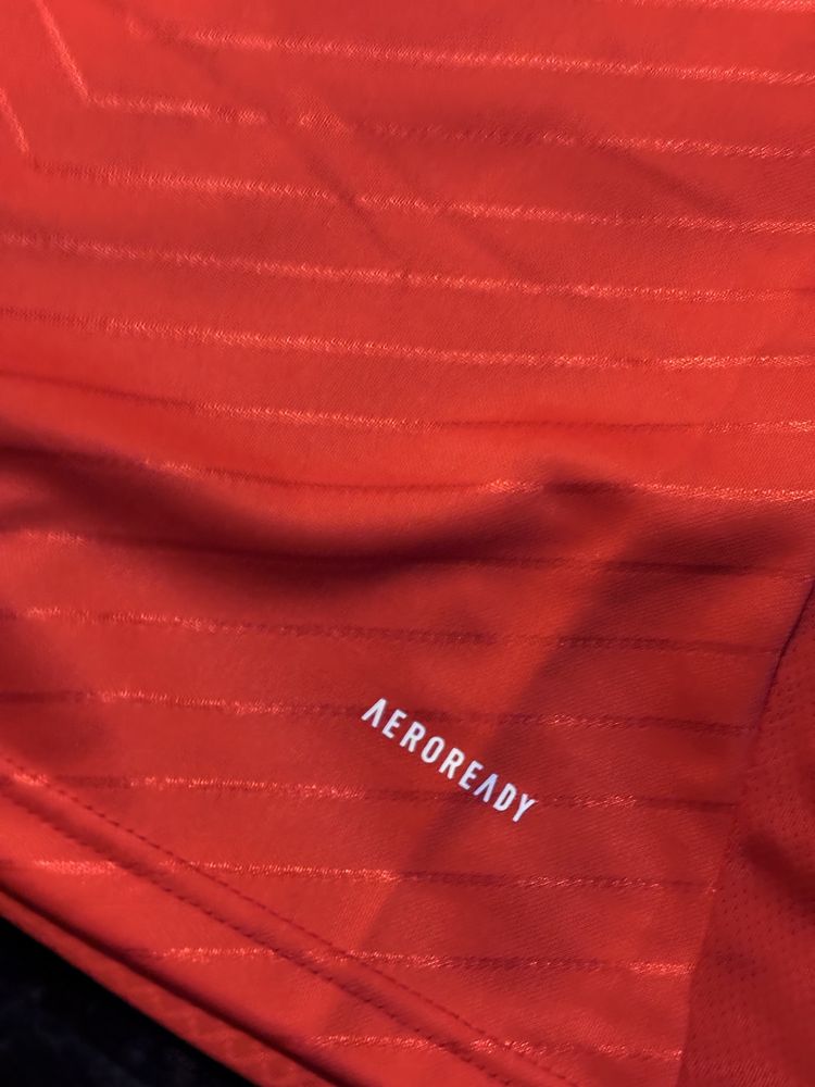 Camisola do Benfica 24/25