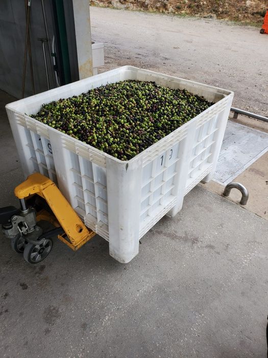 Azeite caseiro muito bom