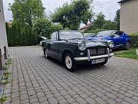 Triumph  Sprawny Zarejestrowany