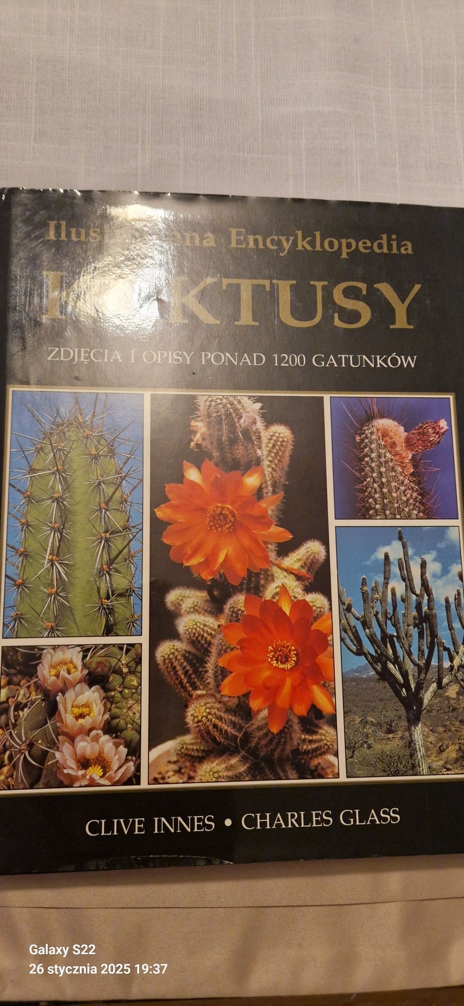 Kaktusy Ilustrowane Encyklopedia Kaktusów zdjęcia i opisy ponad 1200