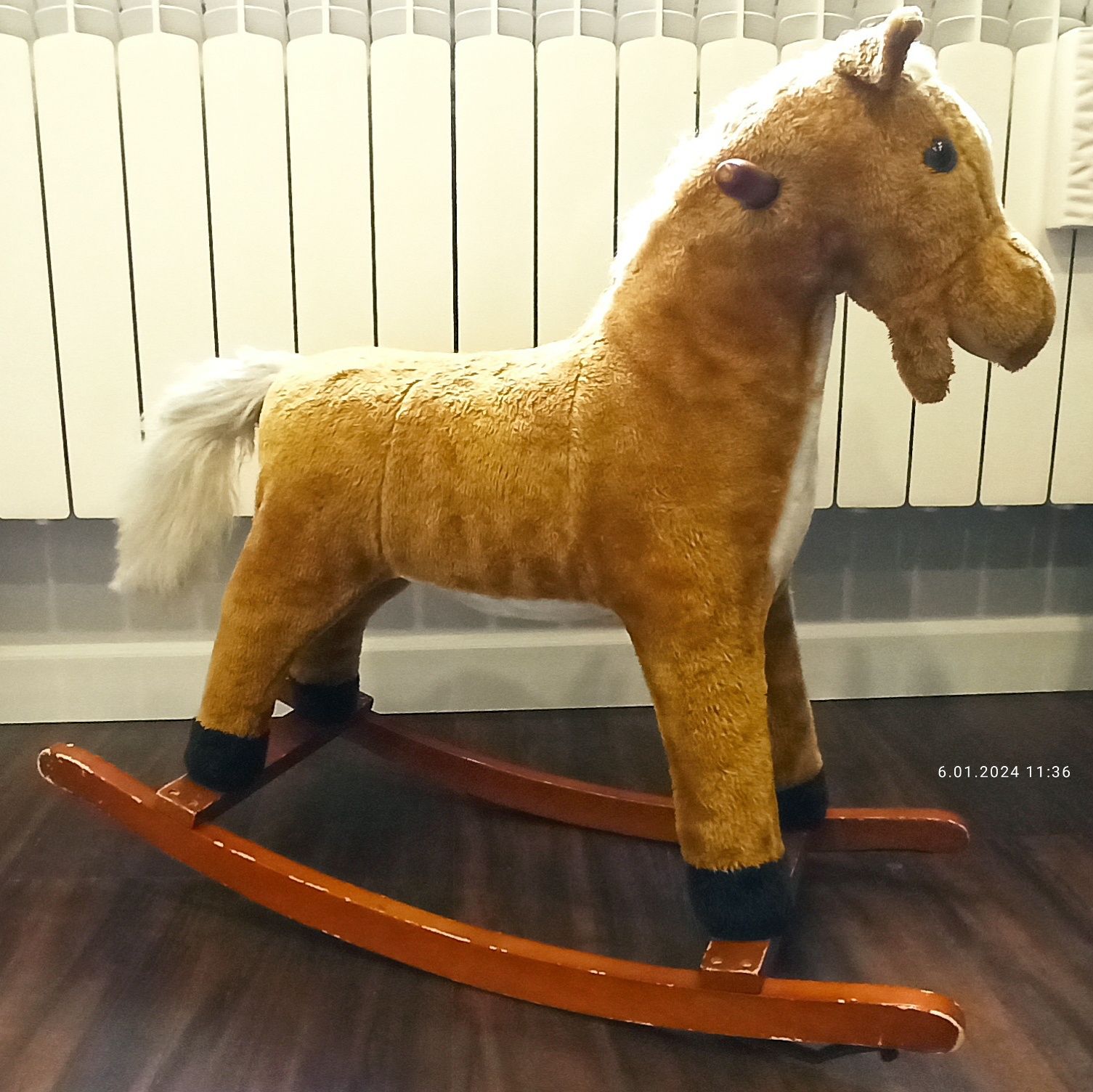 Koń na biegunach