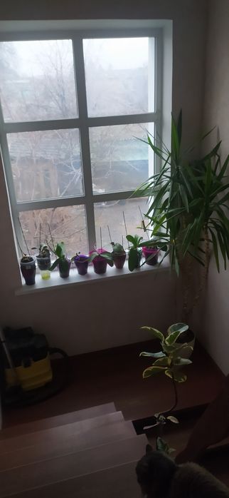 Оренда кімнати в приватному будинку