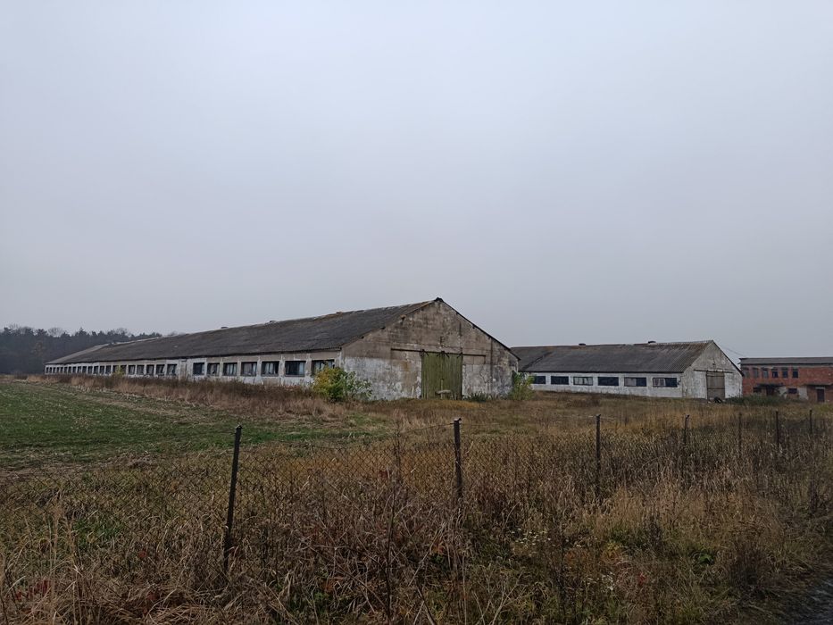 RSP ZAGRODA sprzeda grunty rolne wraz z zabudową o pow. 41 300m2