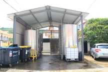 Adega em produção - Cabanas - Palmela