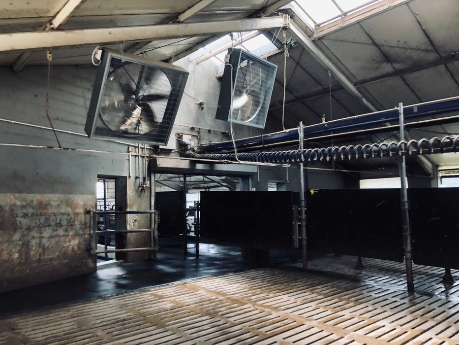 Wentylator 140 cm TK1 do obory, kurnika, chlewni, przemysłu mieszacz