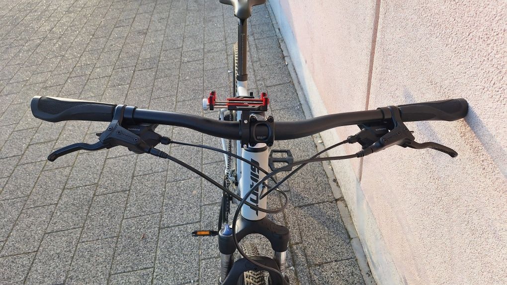 Giant Roam 3 Disc 2022 Szary