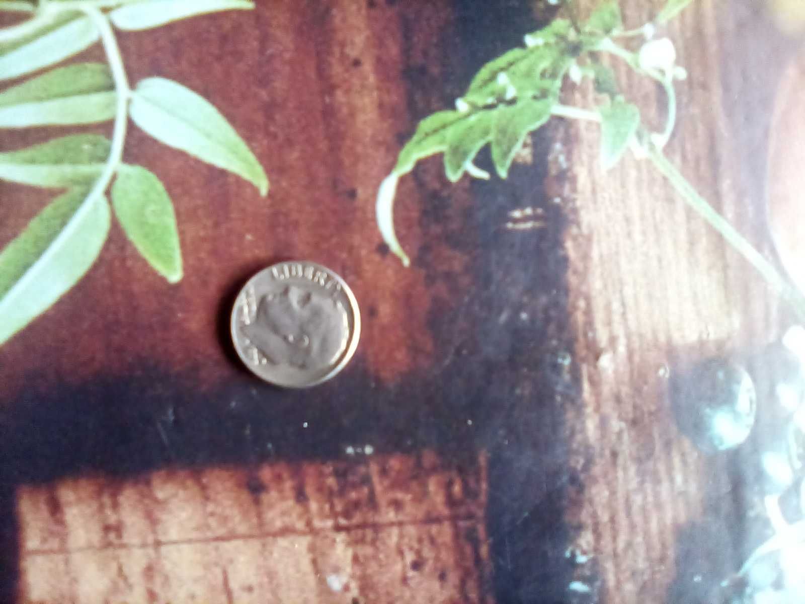 МонетаLIBERTI ONE DIME 1979 года