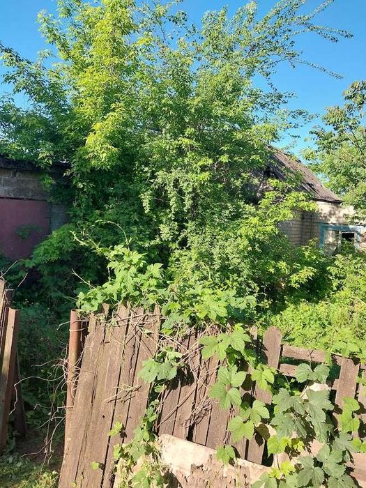 Комплексная уборка земельных и дачных участков по Кривому Рогу.