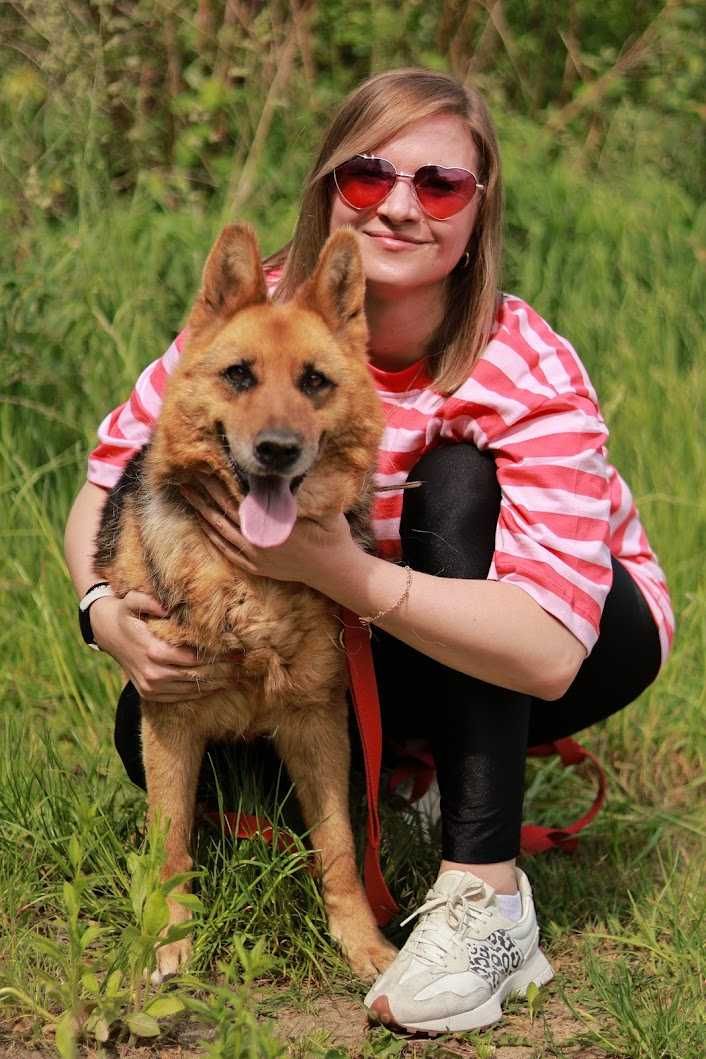DORA - w typie OWCZARKA niemieckiego. łagodna/ [FILMIK]