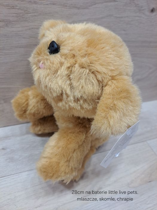 Little live pets  piesek tulus outlet