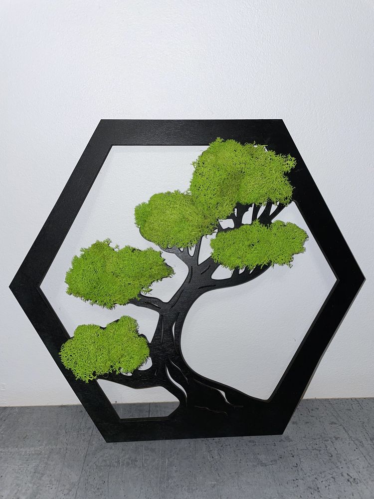 Obraz ażurowy drzewko bonsai chrobotek