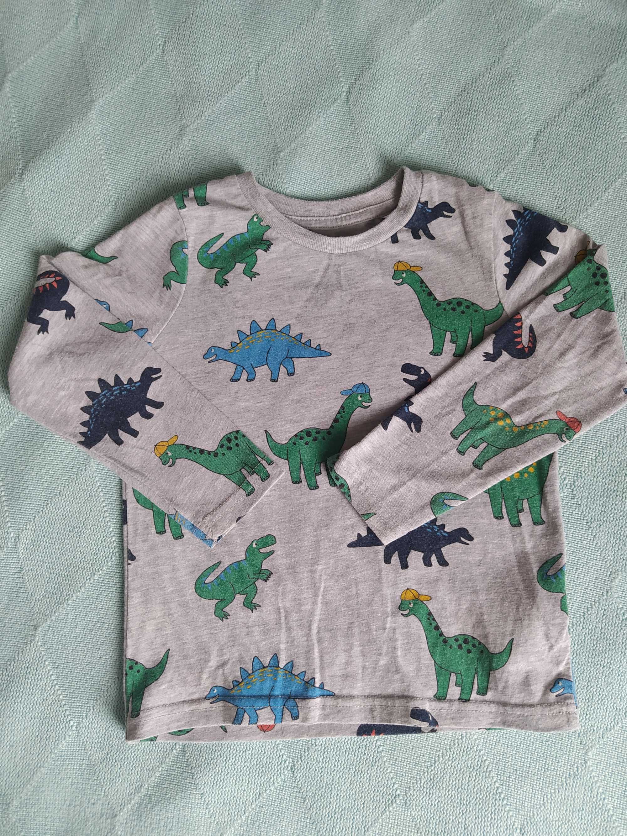 Dwie koszulki, dinozaury C&A