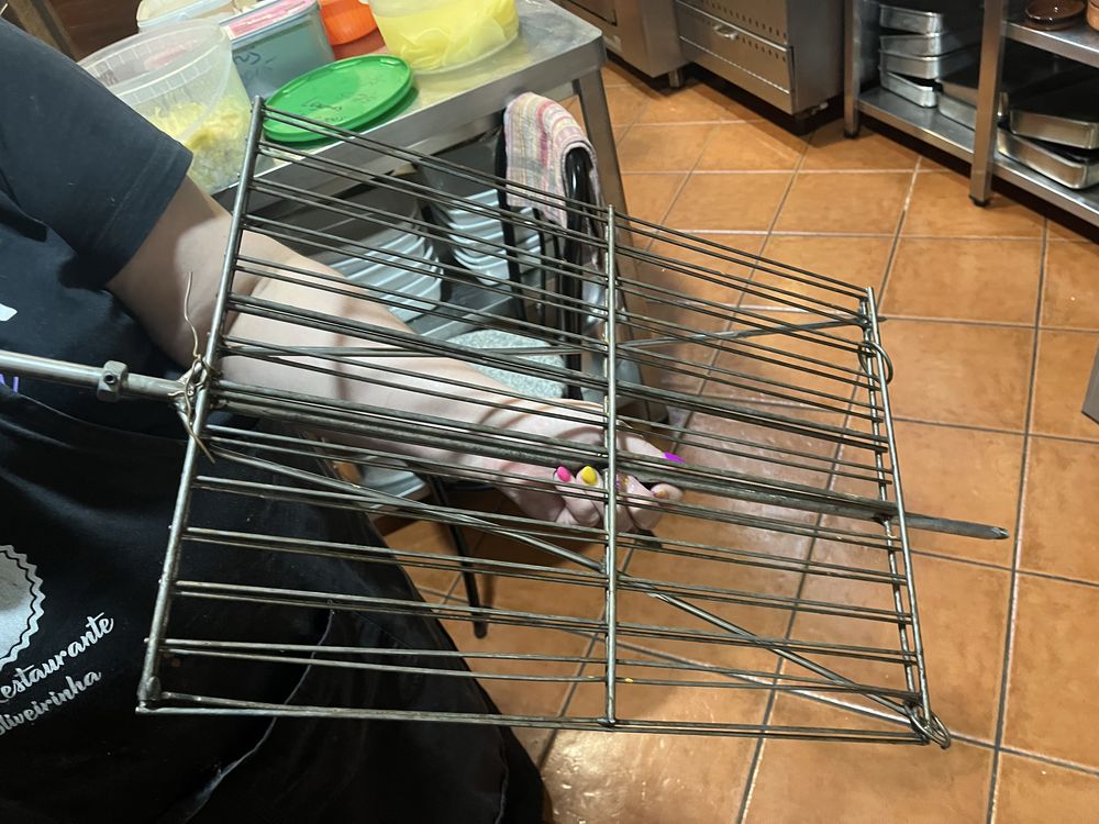 Máquina de assar frangos/ leitões FreiBol