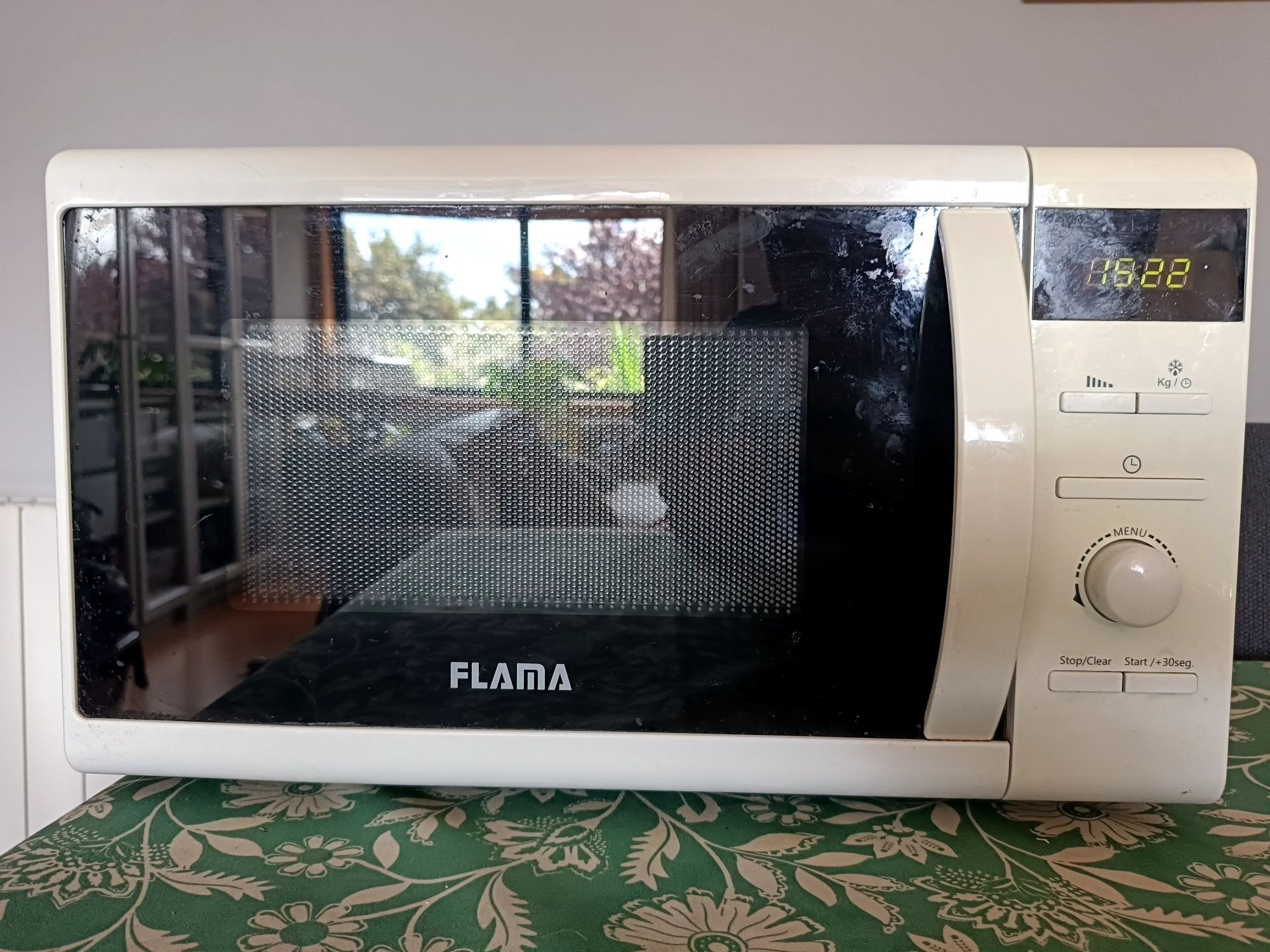 Microondas Flama